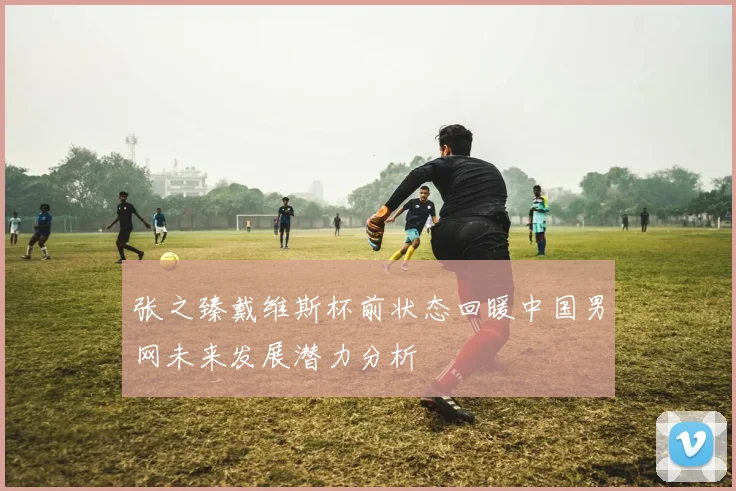 张之臻戴维斯杯前状态回暖中国男网未来发展潜力分析