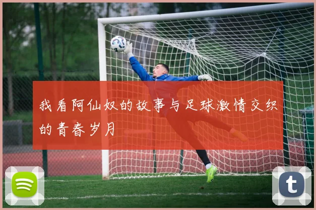 我看阿仙奴的故事与足球激情交织的青春岁月