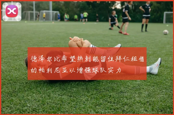 德泽尔比希望热刺能留住拜仁租借的帕利尼亚以增强球队实力